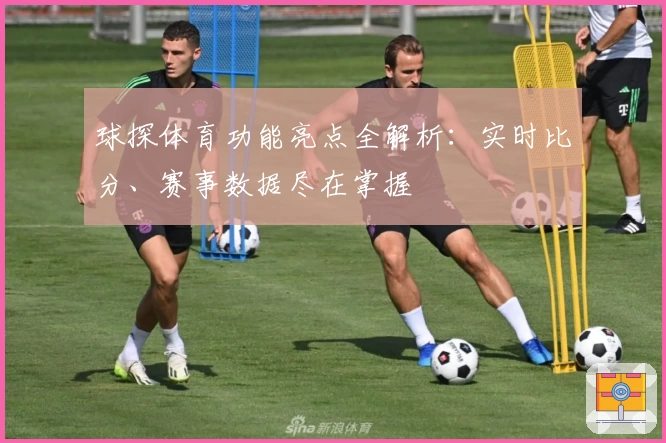 球探体育功能亮点全解析：实时比分、赛事数据尽在掌握
