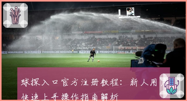 球探入口官方注册教程：新人用户快速上手操作指南解析