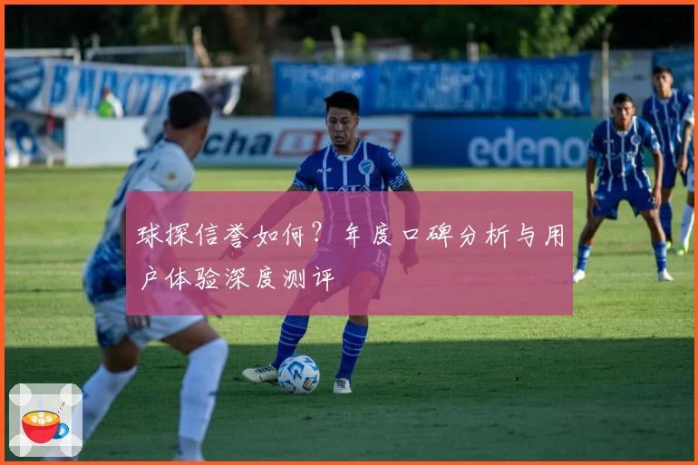球探信誉如何？年度口碑分析与用户体验深度测评