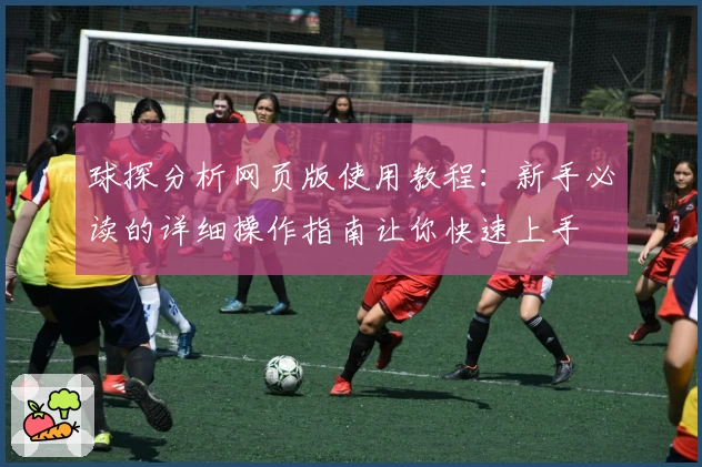 球探分析网页版使用教程：新手必读的详细操作指南让你快速上手