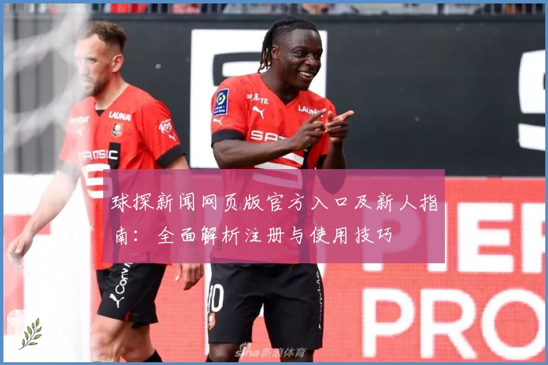 球探新闻网页版官方入口及新人指南：全面解析注册与使用技巧